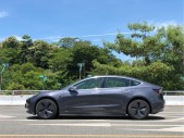 2020��Model 3��׼������������������