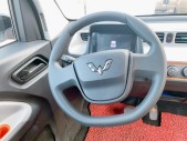 2020MINIEV