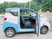 2020MINIEV