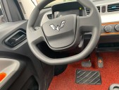 2020MINIEVɿ