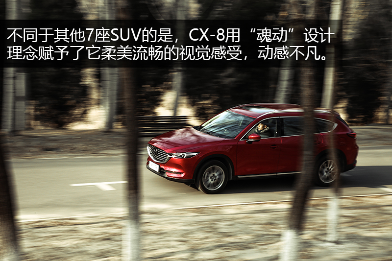 ԴCX-8 2.5L 콢