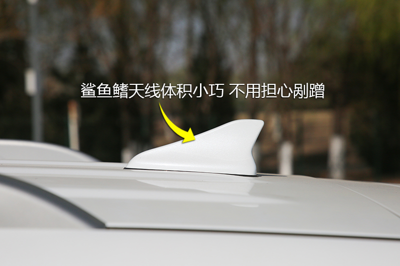ȫʤ 2.0T Զ콢