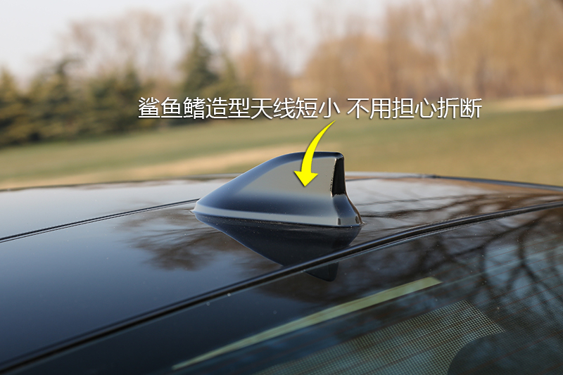  2.5L 춯