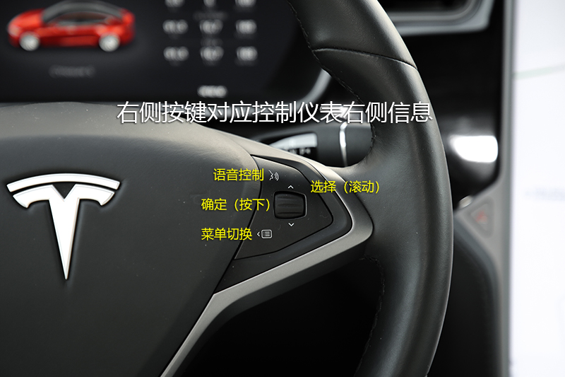MODEL S 