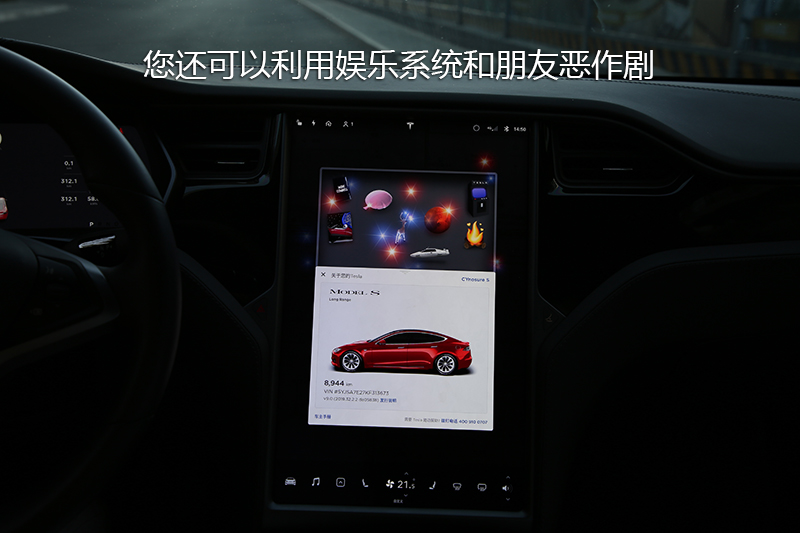 MODEL S 