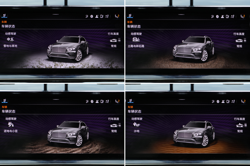 Խ 4.0T V8