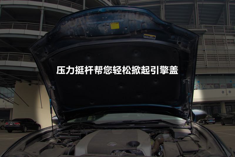 ׿˹GS250 