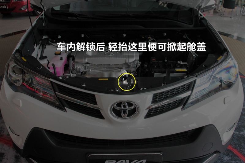 RAV4 2.5L Զ