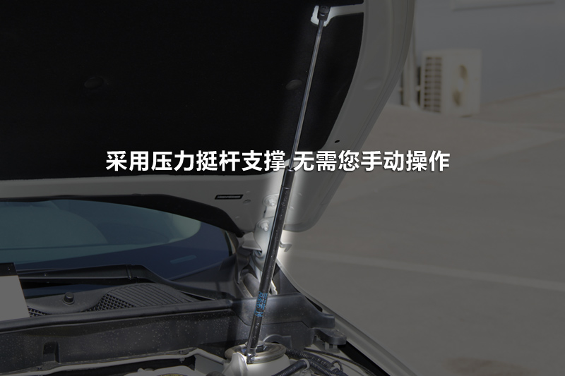  2.0L Զ