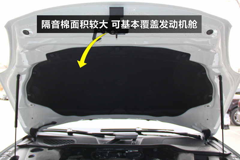 ʱ  3.0T
