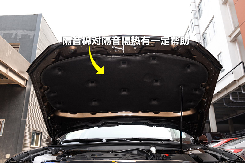ţ 2.0L GTDi 
