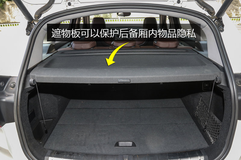  X1 XDrive20Li 