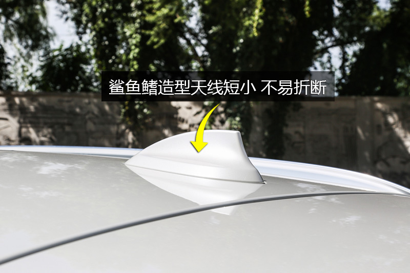  X1 XDrive20Li 