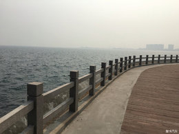 面朝大海，花不一定开。【游记】