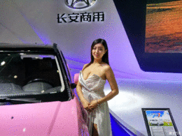 华中国际车展一日游 添购一台10-13万轿车【内有海量美照】