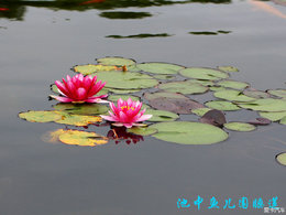 周日卡友小聚花山