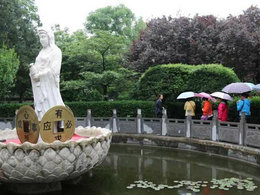 昔日课堂闻大名 今朝驾车睹芳容