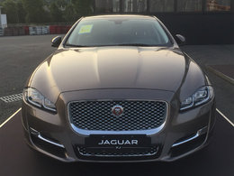 捷豹英式挑战赛－温州站