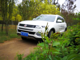 阳光明媚，风和日丽春色