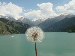 再入“疆”域。（求加精）