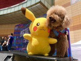 爱卡欢乐车迷会～烈日下的盛宴