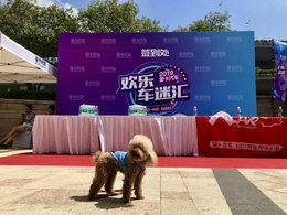 【爱卡汽车欢乐车迷会2019南京站】车模麻豆小杆子