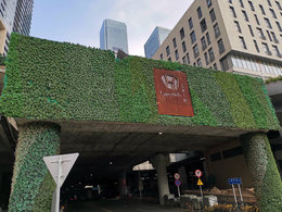 没有一定要结婚的年纪，只有必须要结婚的爱情