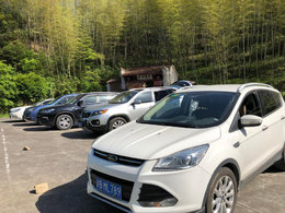 9.9享福季-----我与虎子的三年