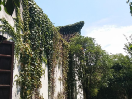 绍兴鲁迅故居游记