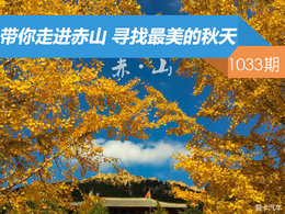 【社区日报】第1033期：带你走进赤山 寻找最美的秋天